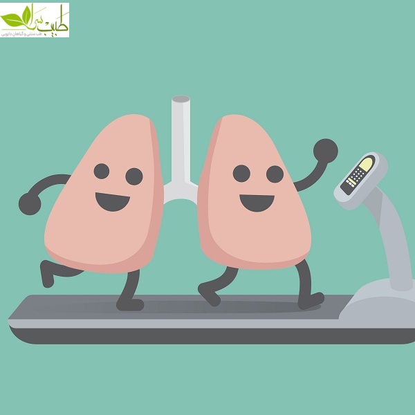 راه های تقویت ریه انسان